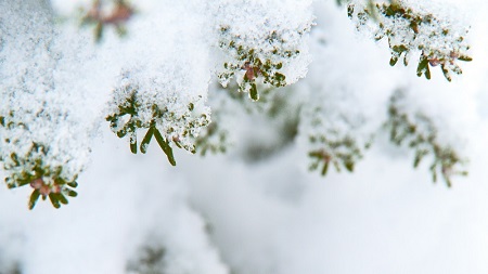 二开苹果cms影视导航模板