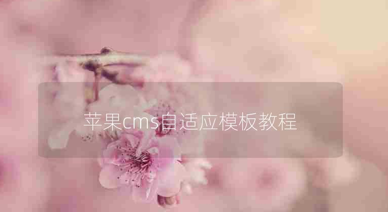 苹果cms模板diy布局